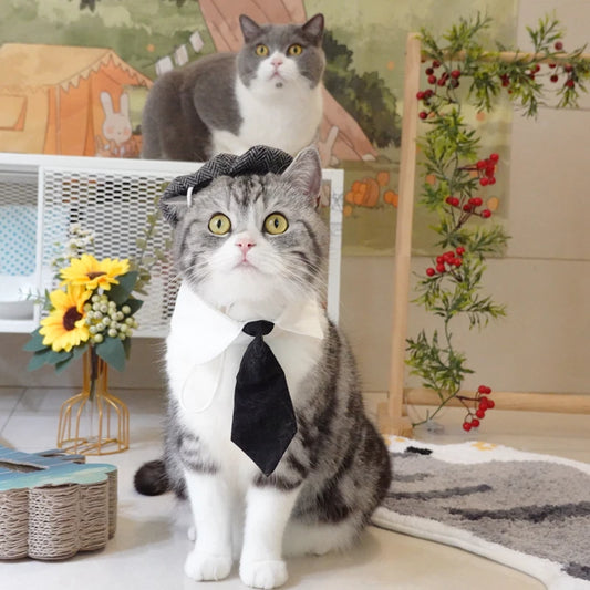 Pet Clothes Funny Handsome Gentleman's Beret Hat and Tie
