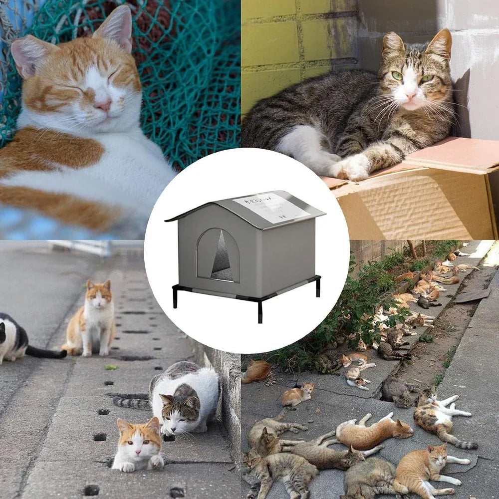 Temporary Shelters
