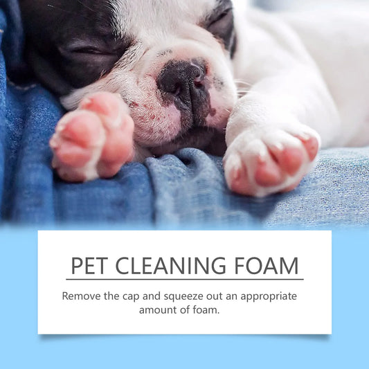 100ml Natural Pet Paw Foam Cleaner Rich Bubble Remove Dirt Promote Health Lasting Fragrance No-rinse Paw Wash for Dogs & Cats