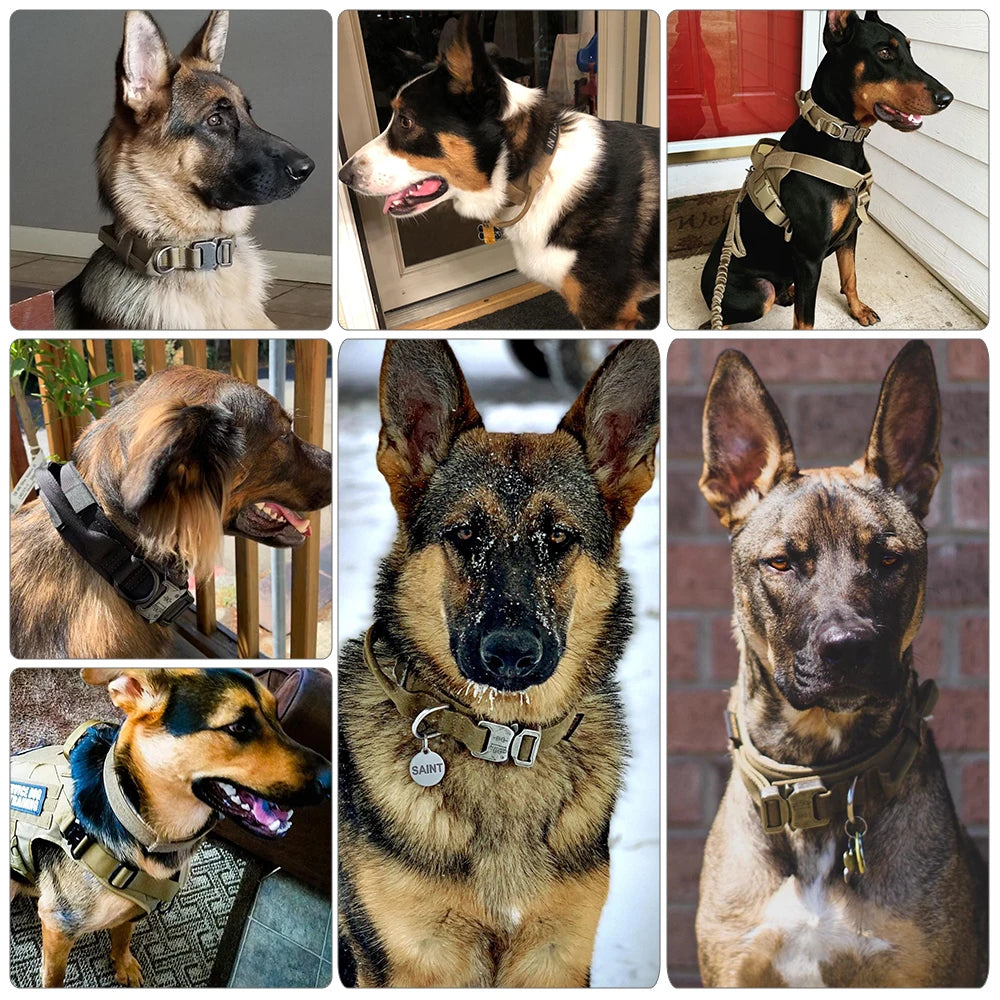 Dog Training Collar Adjustable Tactical Dog Collar and Leash Set Control Handle Pet Lead Collar for Medium and Large Dogs