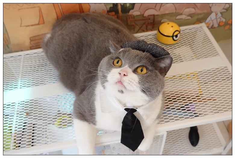 Pet Clothes Funny Handsome Gentleman's Beret Hat and Tie