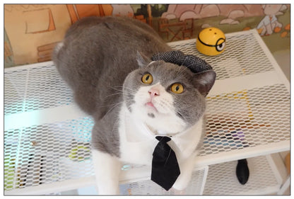 Pet Clothes Funny Handsome Gentleman's Beret Hat and Tie