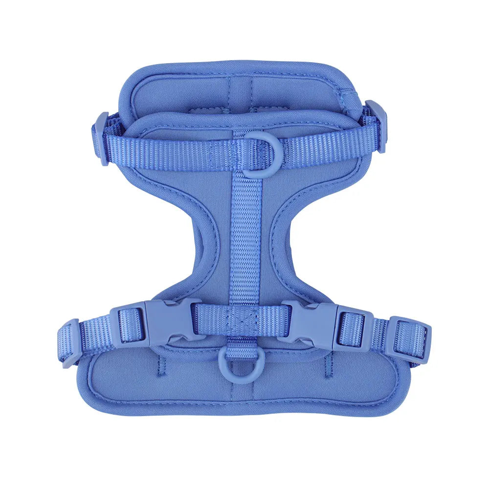 Breathable Lightweight Adjustable Harness with Chest Strap for Small Medium Dog