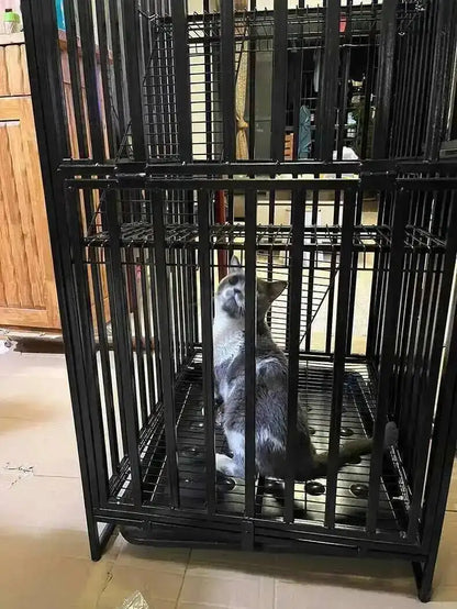 Large Activity Modern Iron Square Tube Mesh Cat Cat Cages Creative Pet Villa Luxury Cat Free House Space House Pet Supplies