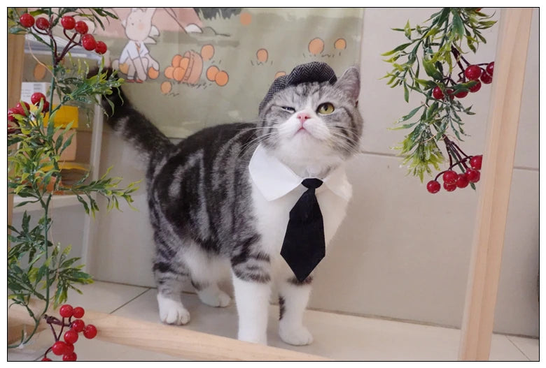 Pet Clothes Funny Handsome Gentleman's Beret Hat and Tie