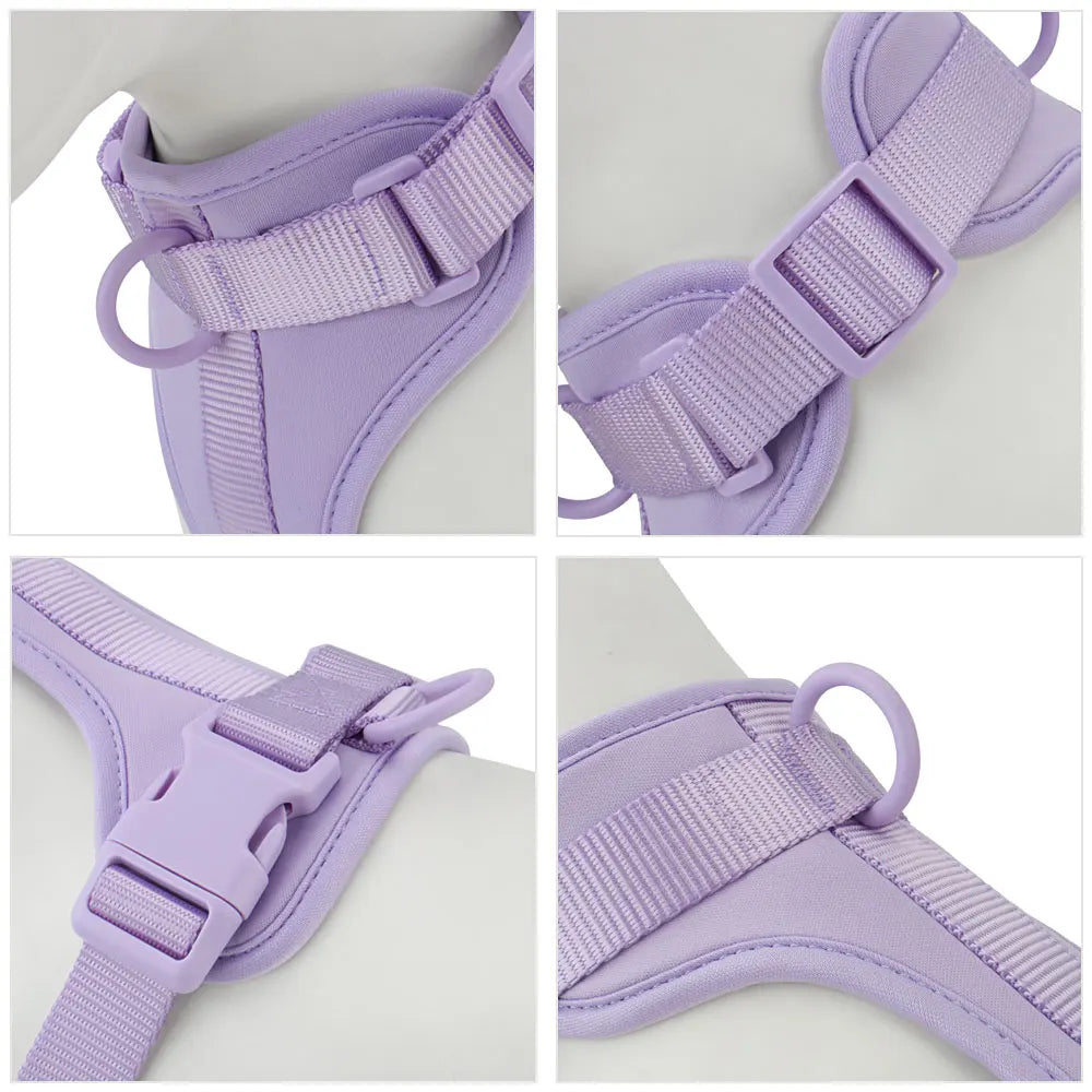 Breathable Lightweight Adjustable Harness with Chest Strap for Small Medium Dog