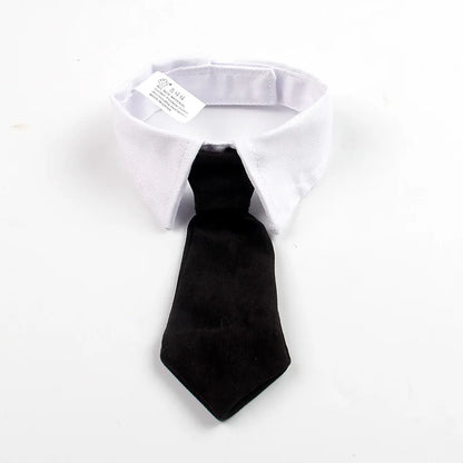 Pet Clothes Funny Handsome Gentleman's Beret Hat and Tie