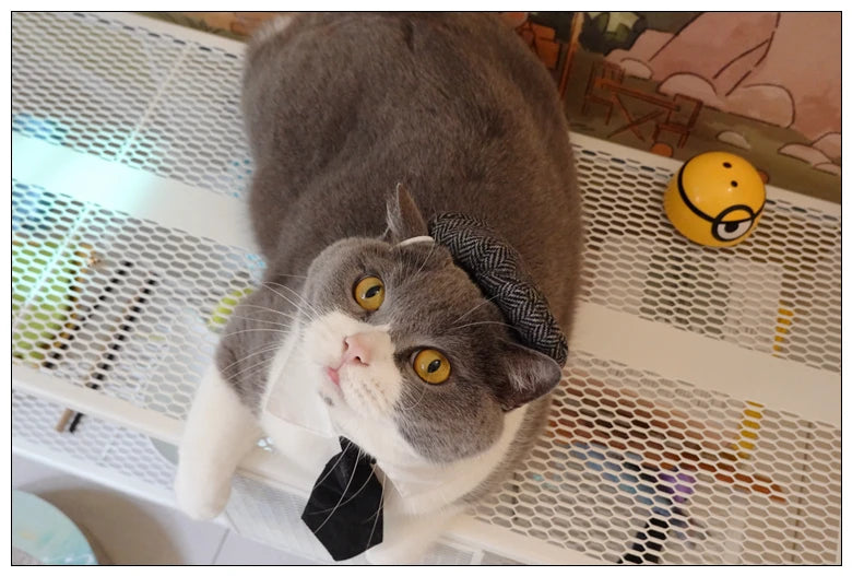 Pet Clothes Funny Handsome Gentleman's Beret Hat and Tie
