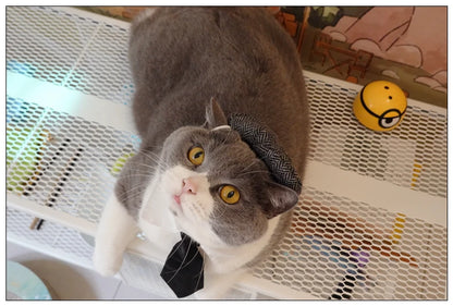 Pet Clothes Funny Handsome Gentleman's Beret Hat and Tie
