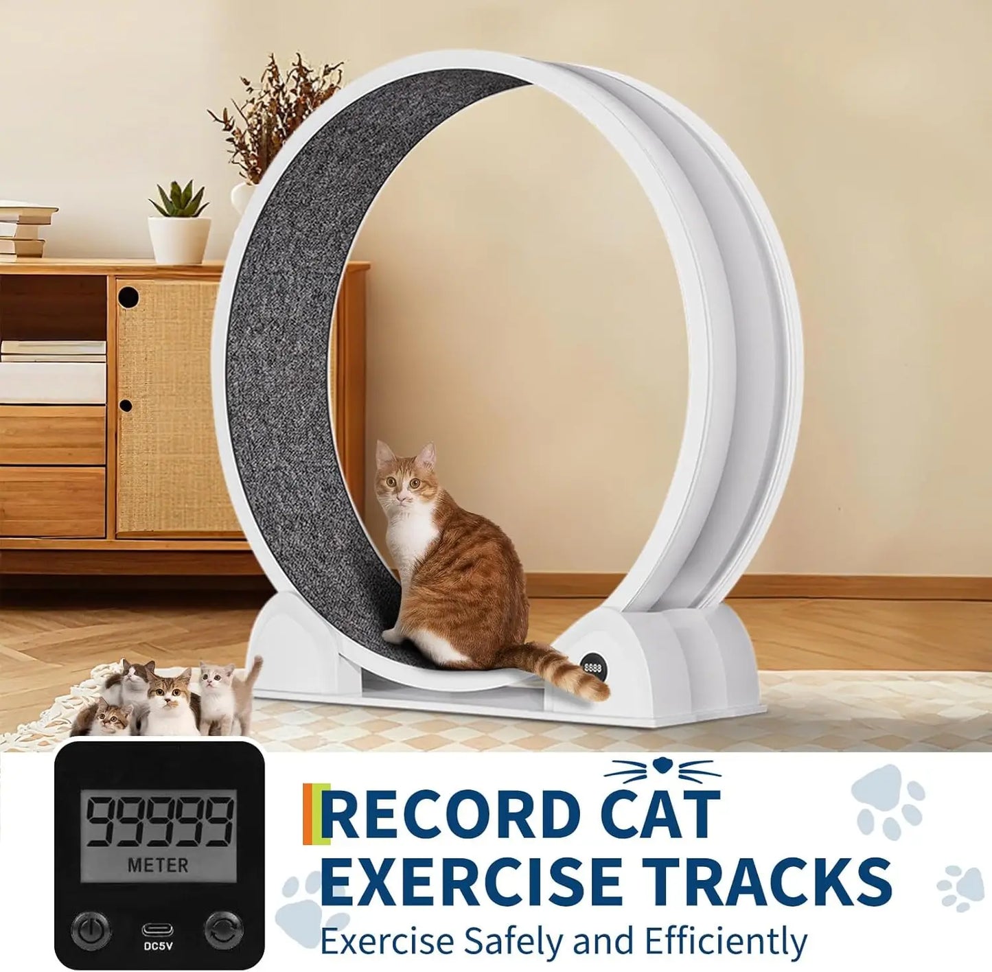 Cat Exercise Wheel, 45 Inch Quiet Cats Treadmill with Pedometer Running Wheel and Detachable Carpeted Runway, Interactive Toys