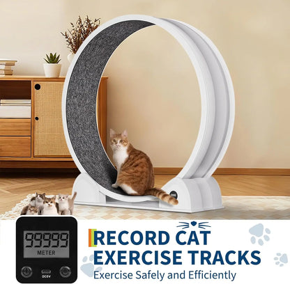 Cat Exercise Wheel, 45 Inch Quiet Cats Treadmill with Pedometer Running Wheel and Detachable Carpeted Runway, Interactive Toys
