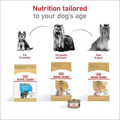 Yorkshire Terrier Adult Nutrition Dry Dog Food, 10 lbs