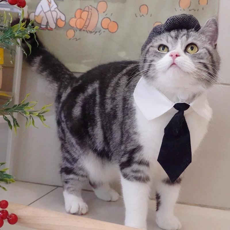 Pet Clothes Funny Handsome Gentleman's Beret Hat and Tie
