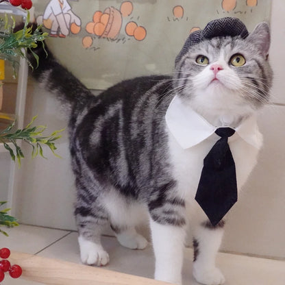 Pet Clothes Funny Handsome Gentleman's Beret Hat and Tie