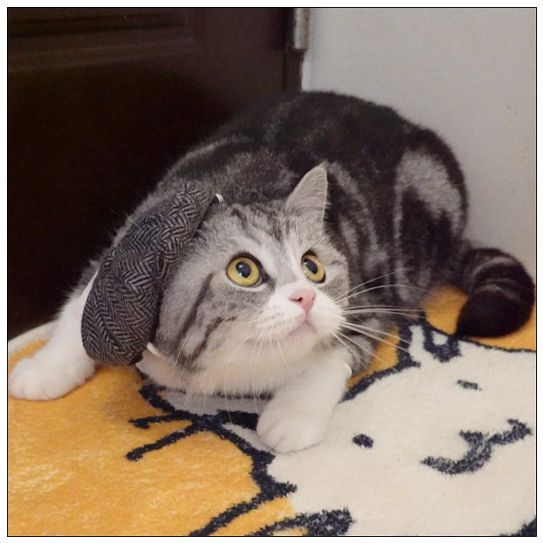 Pet Clothes Funny Handsome Gentleman's Beret Hat and Tie