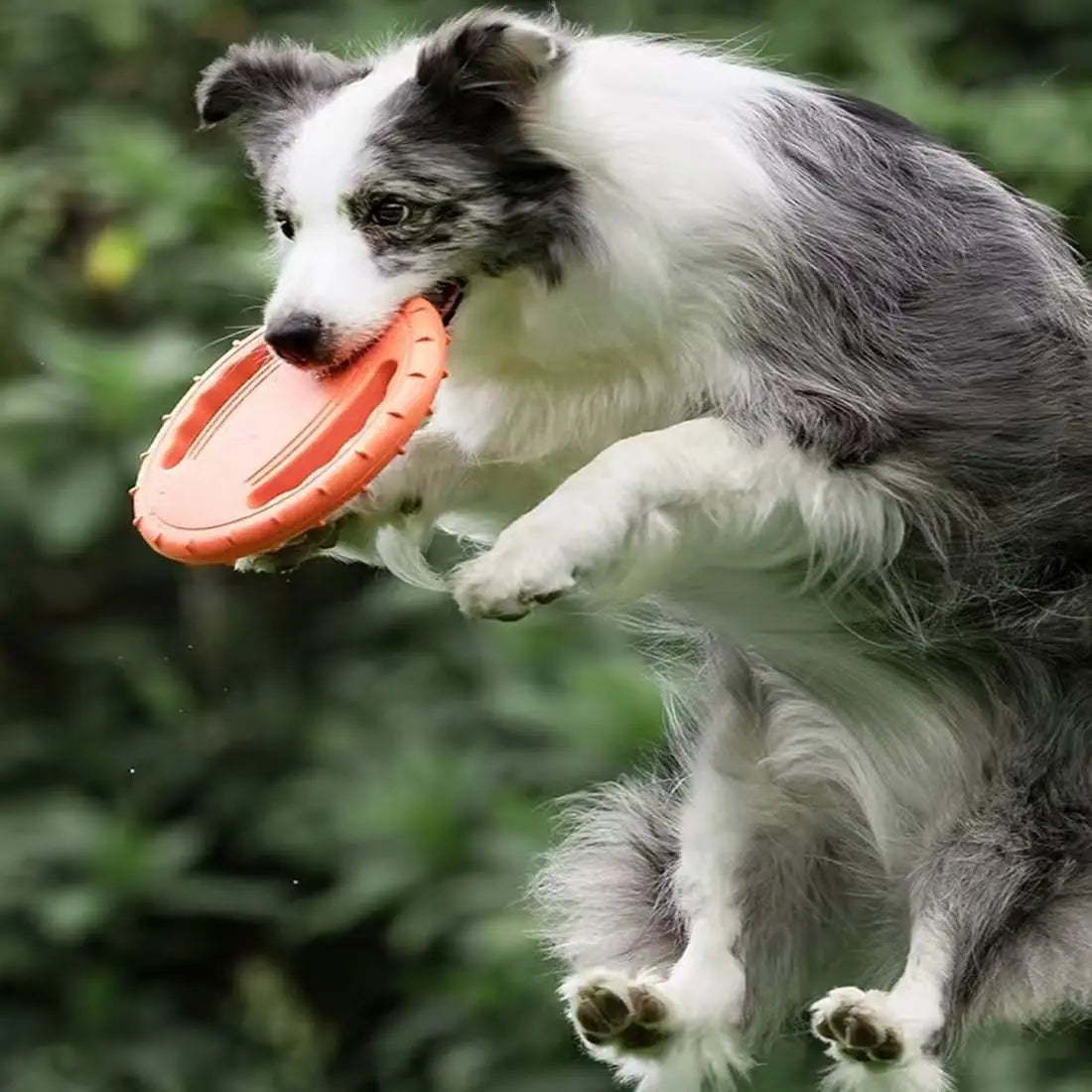 EVA Flying Chewing Flying Floating Disc Dog Toy
