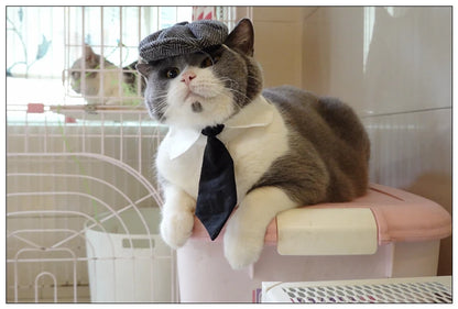 Pet Clothes Funny Handsome Gentleman's Beret Hat and Tie