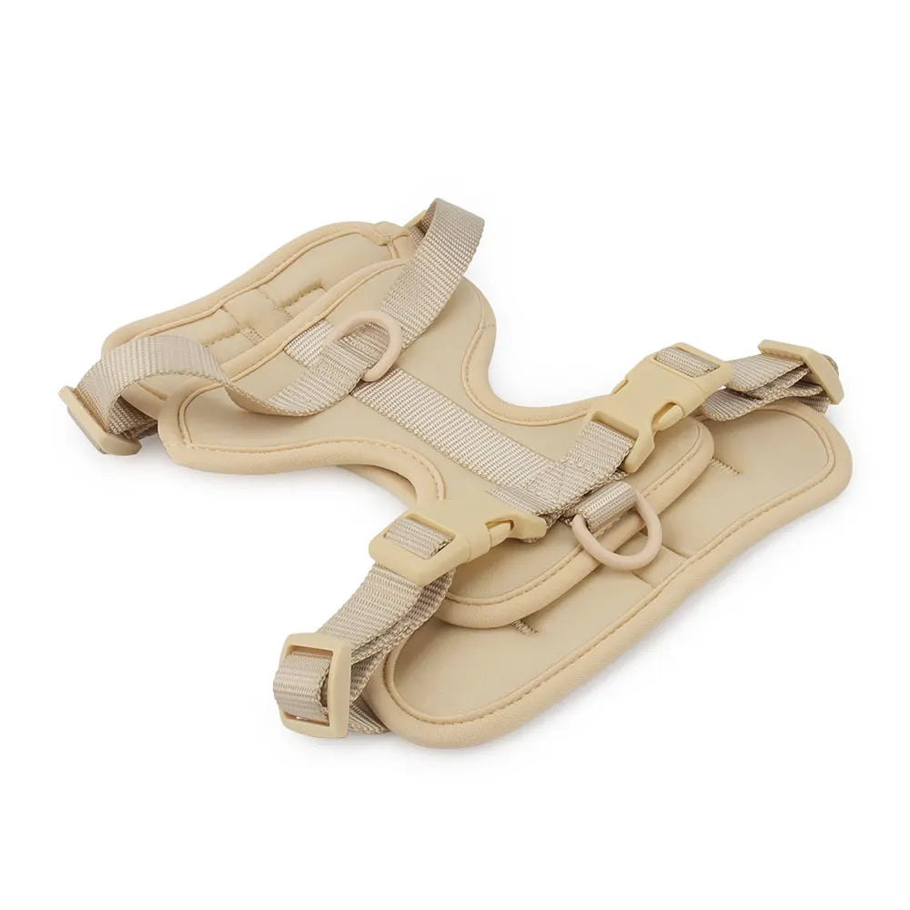Breathable Lightweight Adjustable Harness with Chest Strap for Small Medium Dog