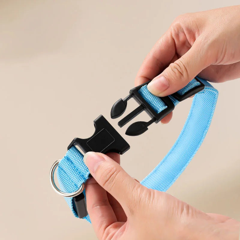 Luminous LED Illuminated collar lights up, flashes, and glows. Collar is comfortable, lightweight, skin-friendly, and stylish. The glowing, flashing, or luminous light makes your pet visible at night or in bad weather conditi