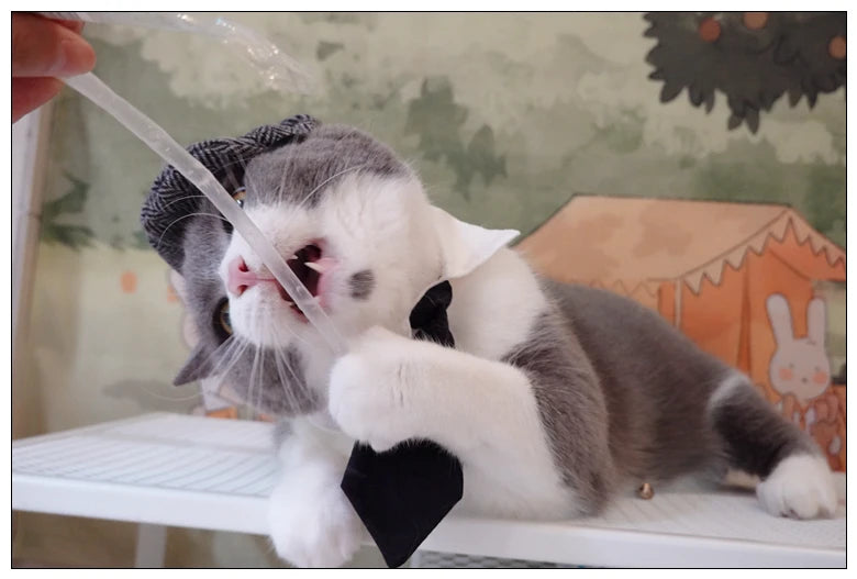 Pet Clothes Funny Handsome Gentleman's Beret Hat and Tie