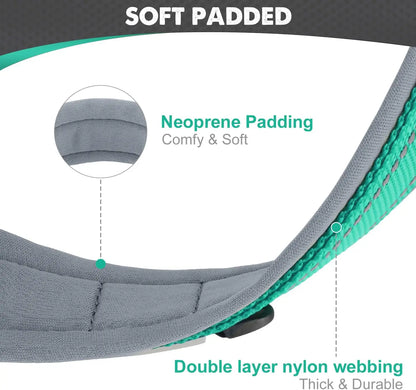 Padded Adjustable Reflective Wide Heavy Duty Nylon Neoprene Collars for small medium large Dogs  
D-Ring and Tag Loop - can be used to attach a leash and is tough enough to provide peace of mind no matter how hard your dog li