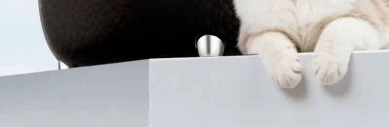 Intelligent Pet Food Container Vacuum 10L Easy Clean Cat Food Storage Moisture-proof and Insect-proof Pet Products Supplies