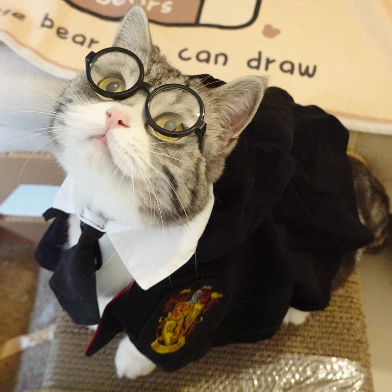 Pet Clothes Funny Handsome Gentleman's Beret Hat and Tie