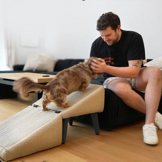 Dog Ramp For Bed Foldable Footrest Stool For Small Breed Animal Multi-functional Non-Slip Safety Ramp
