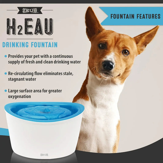 Fresh & Clear Elevated Pet Water Dispenser with Purifying Filter, 6L Large Capacity for Dogs and Cats