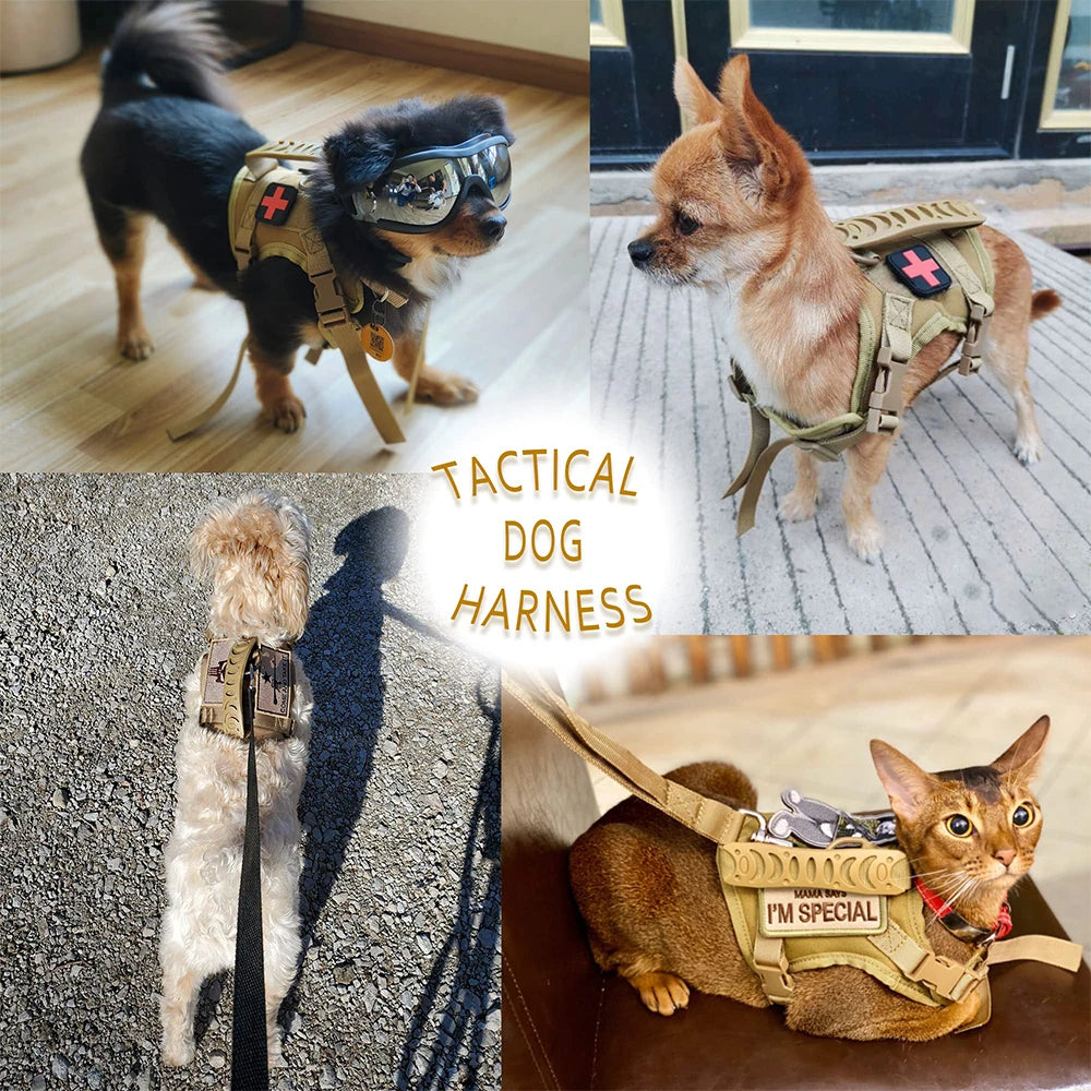 Small Pet Adjustable Military Tactical Harness Vest Leash Set for Walking and Training