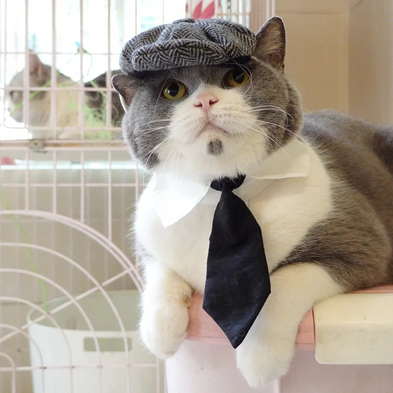 Pet Clothes Funny Handsome Gentleman's Beret Hat and Tie