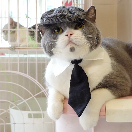 Pet Clothes Funny Handsome Gentleman's Beret Hat and Tie