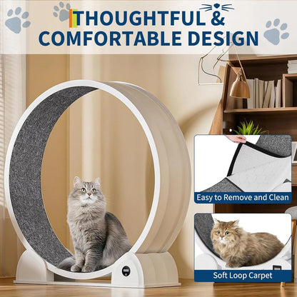 Cat Exercise Wheel, 45 Inch Quiet Cats Treadmill with Pedometer Running Wheel and Detachable Carpeted Runway, Interactive Toys