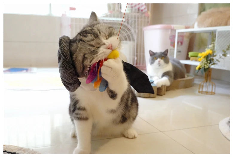 Pet Clothes Funny Handsome Gentleman's Beret Hat and Tie
