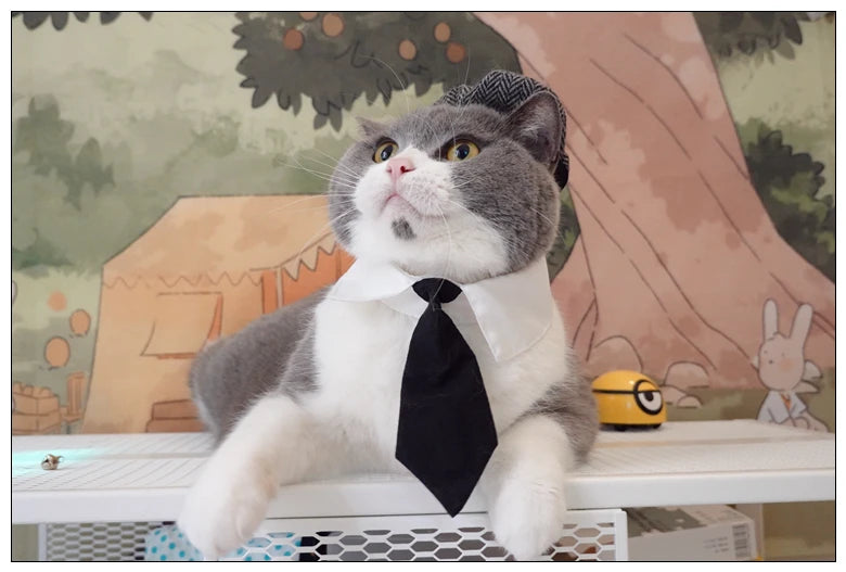 Pet Clothes Funny Handsome Gentleman's Beret Hat and Tie