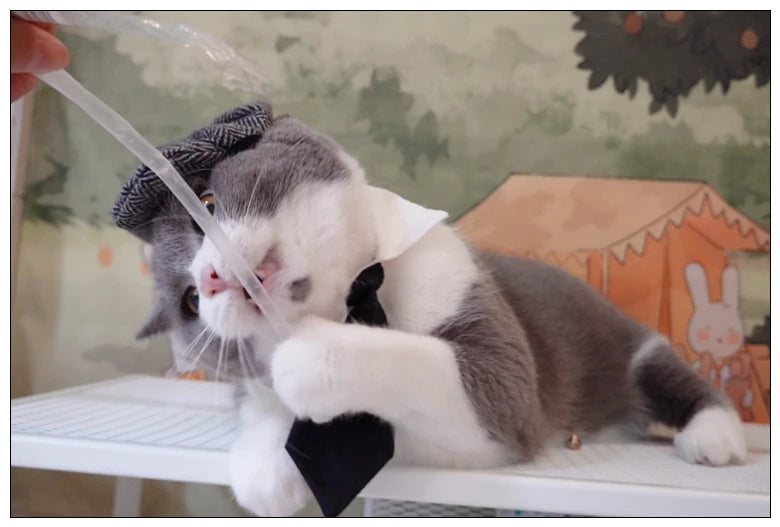 Pet Clothes Funny Handsome Gentleman's Beret Hat and Tie