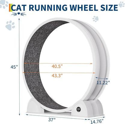 Cat Exercise Wheel, 45 Inch Quiet Cats Treadmill with Pedometer Running Wheel and Detachable Carpeted Runway, Interactive Toys