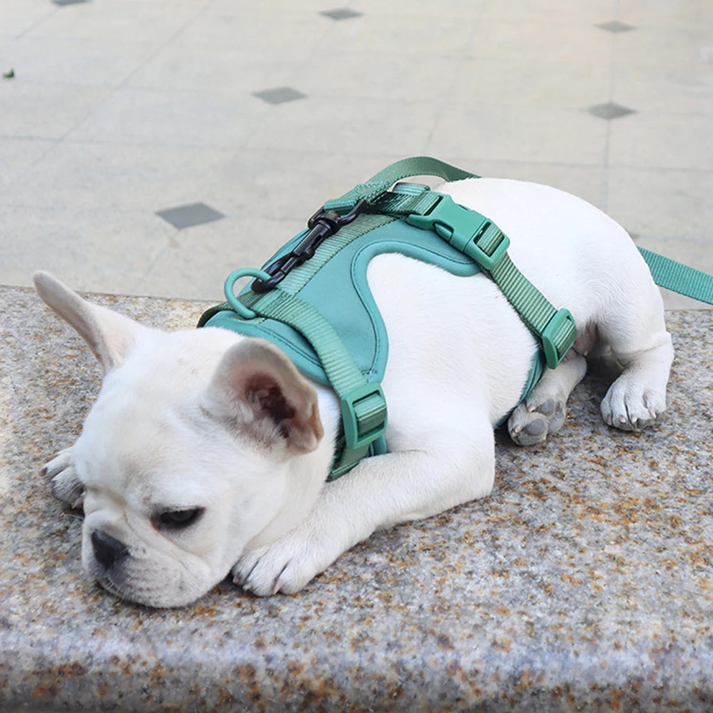 Breathable Lightweight Adjustable Harness with Chest Strap for Small Medium Dog