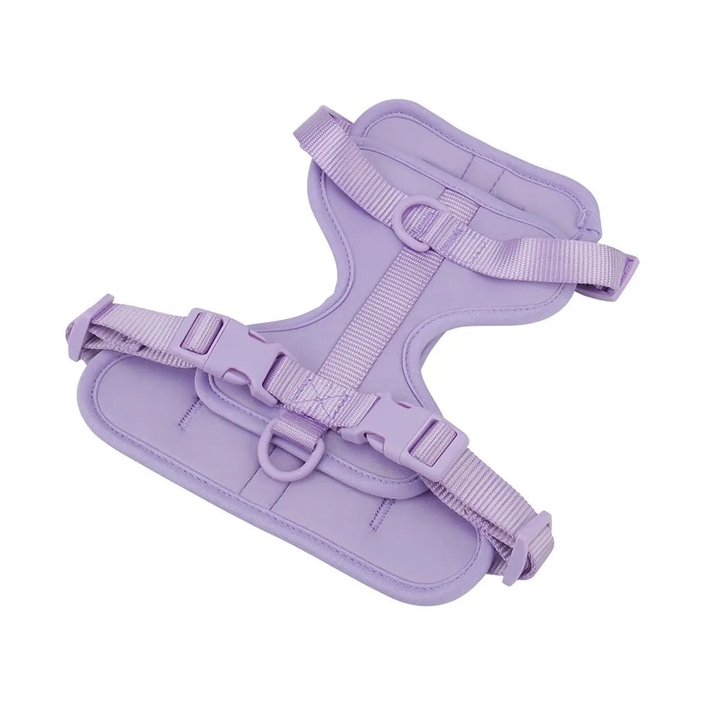 Breathable Lightweight Adjustable Harness with Chest Strap for Small Medium Dog