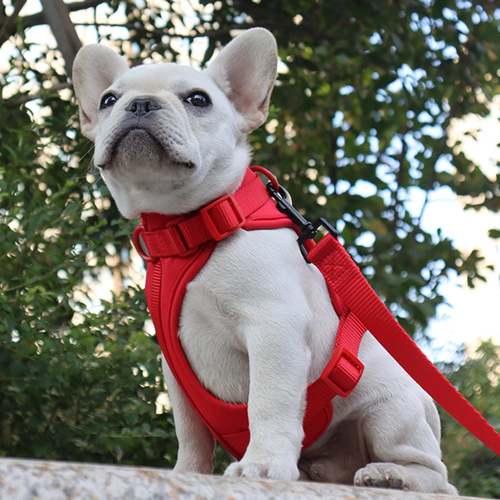 Breathable Lightweight Adjustable Harness with Chest Strap for Small Medium Dog
