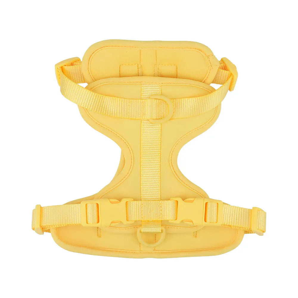 Breathable Lightweight Adjustable Harness with Chest Strap for Small Medium Dog