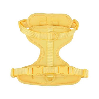 Breathable Lightweight Adjustable Harness with Chest Strap for Small Medium Dog