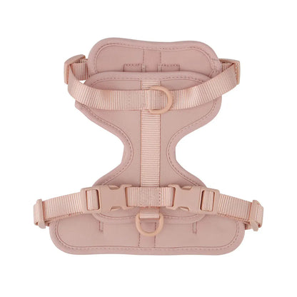Breathable Lightweight Adjustable Harness with Chest Strap for Small Medium Dog