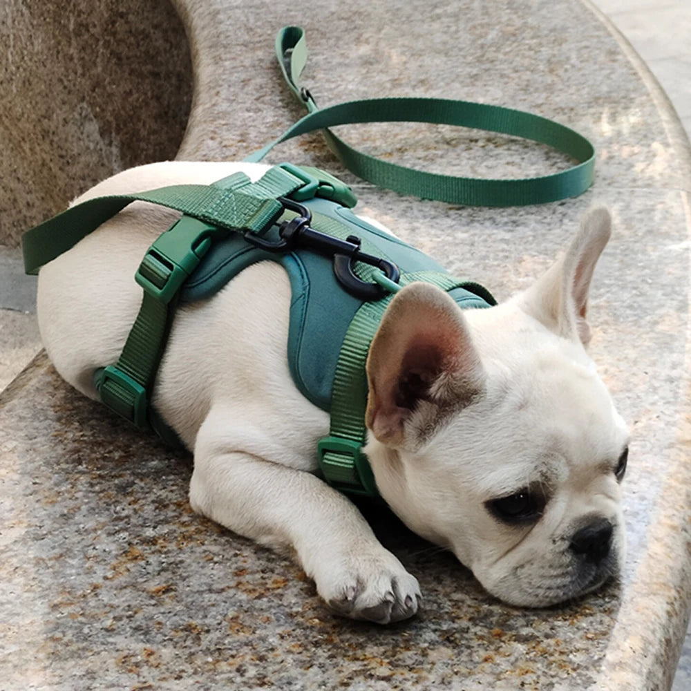 Breathable Lightweight Adjustable Harness with Chest Strap for Small Medium Dog