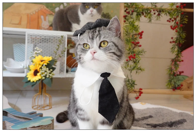 Pet Clothes Funny Handsome Gentleman's Beret Hat and Tie