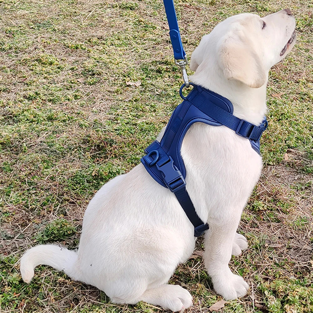 Breathable Lightweight Adjustable Harness with Chest Strap for Small Medium Dog