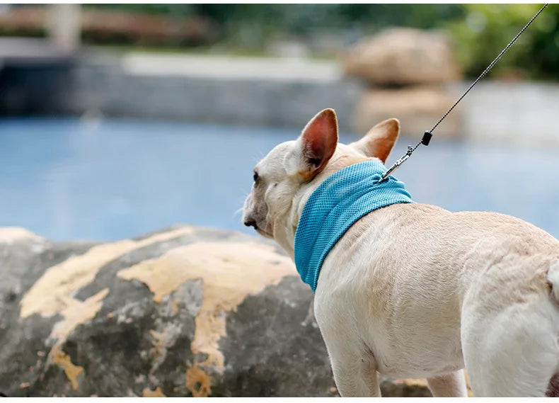 Summer Cooling Neck Triangular Scarf for small medium large for Pets