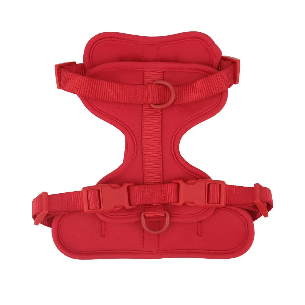 Breathable Lightweight Adjustable Harness with Chest Strap for Small Medium Dog