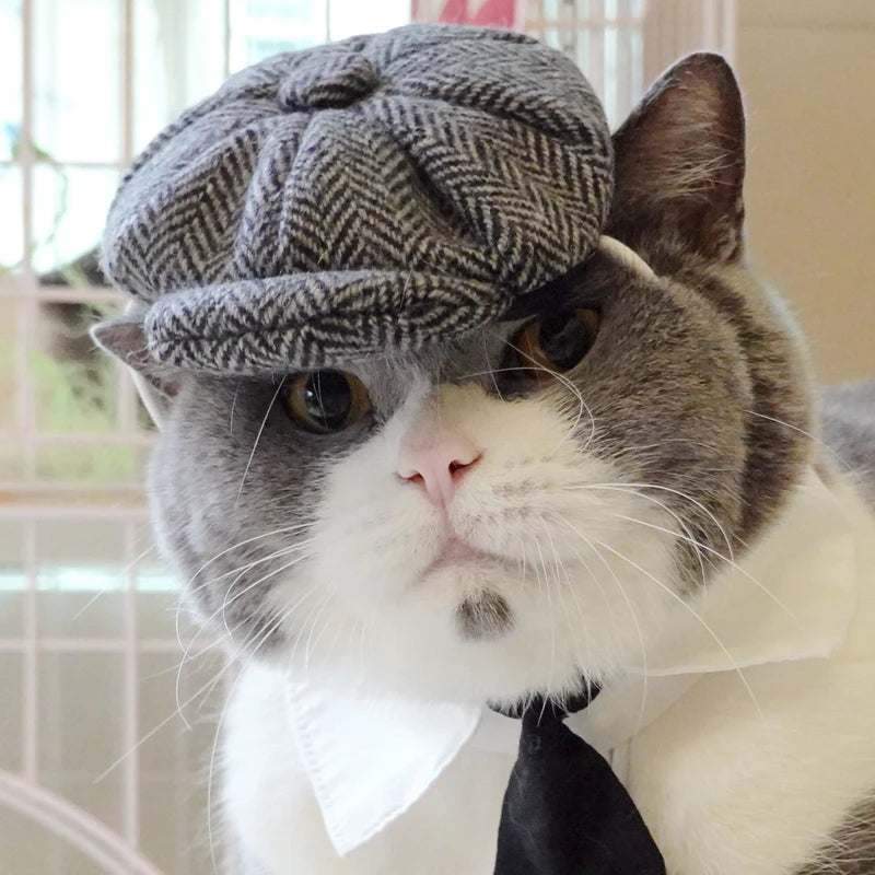 Pet Clothes Funny Handsome Gentleman's Beret Hat and Tie
