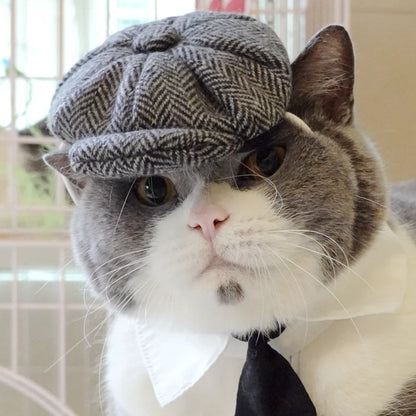 Pet Clothes Funny Handsome Gentleman's Beret Hat and Tie